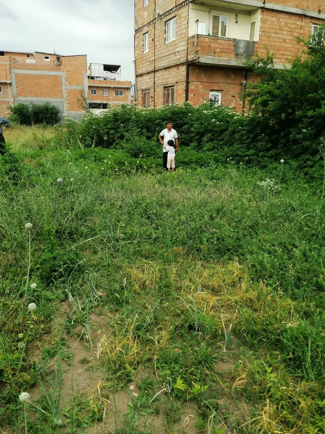 زمین مسکونی