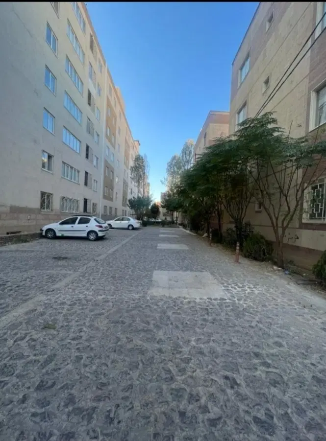 فاز3 سند تک برگ داره