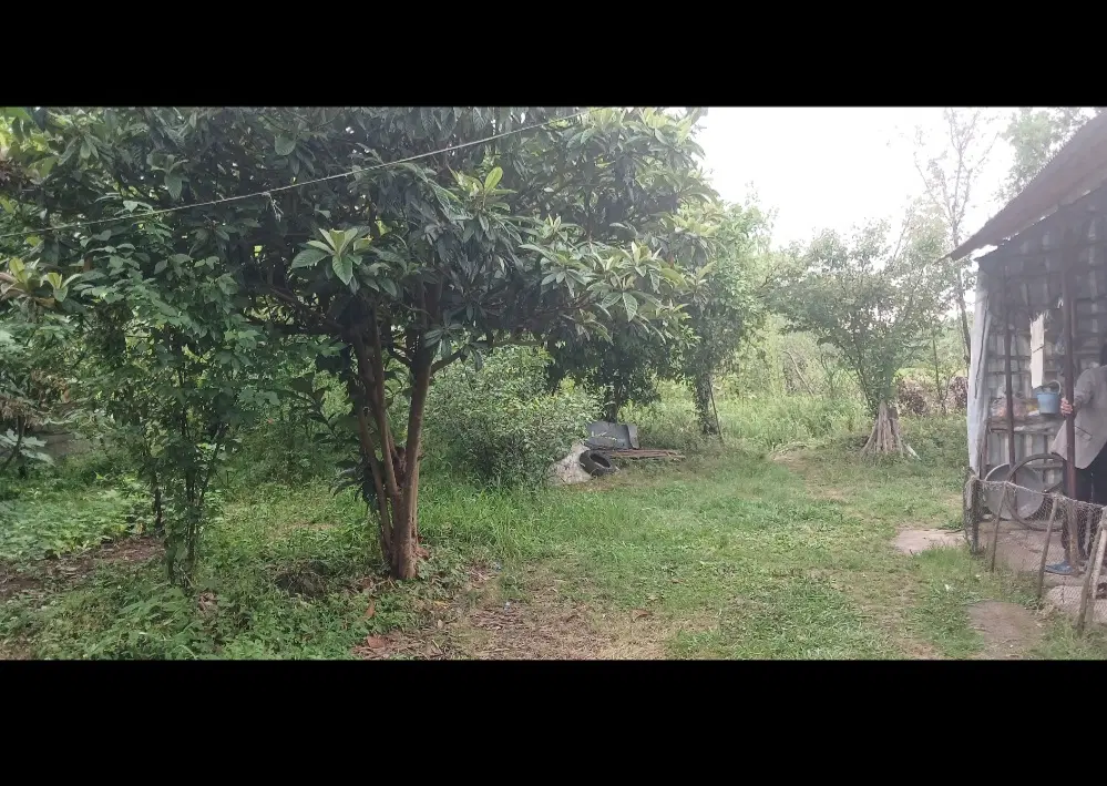 فروش زمین