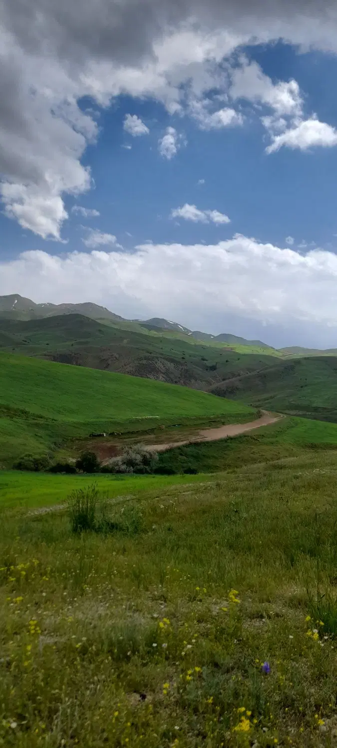 زمین شورای روحانی