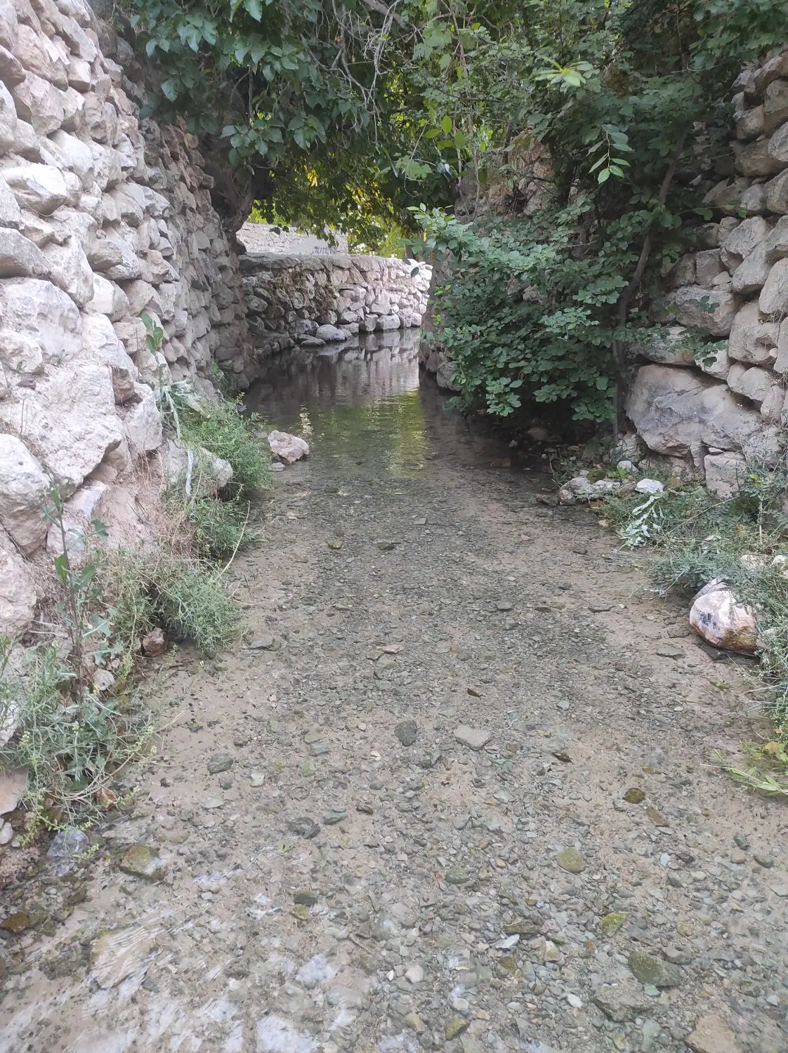 زمین300متری درچلو