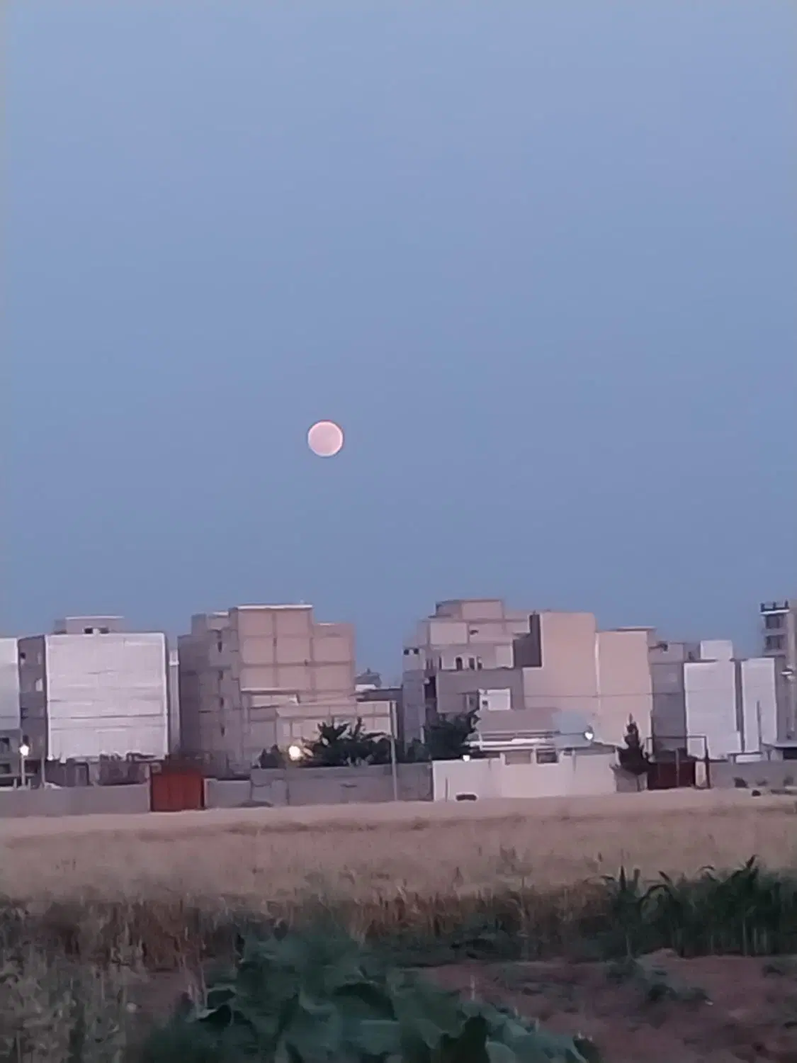 زمین کهریز الهیه