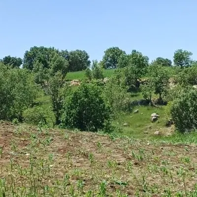 زمین ۱۶۷ متر واقع در  در شهرک نیروی انتظامی