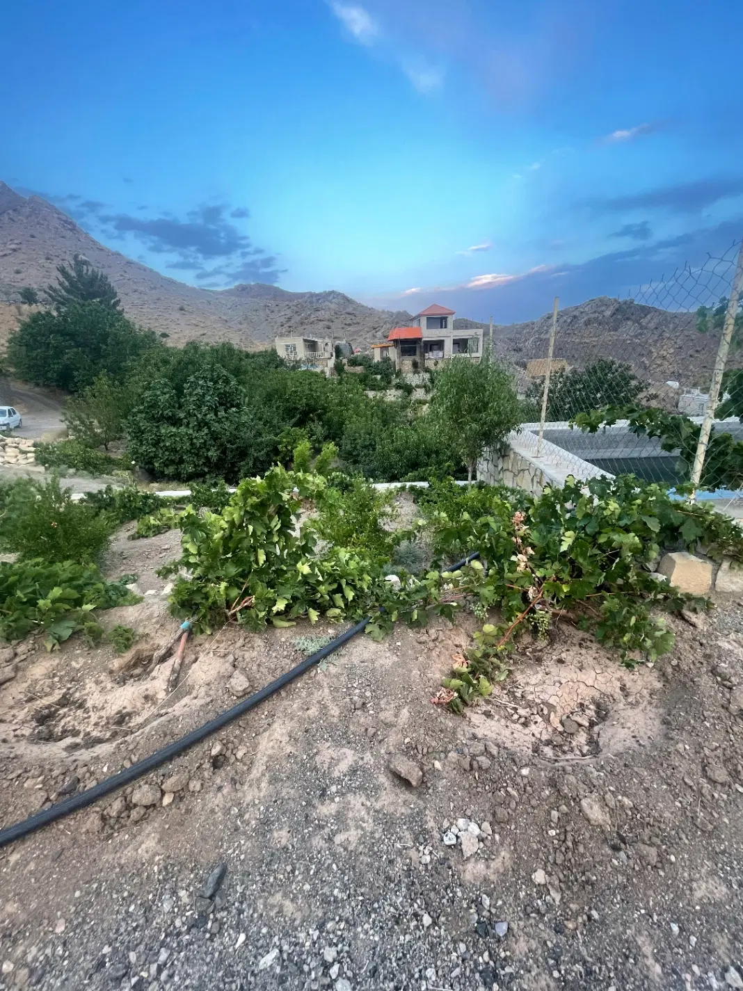 باغ واقع در قز (روستایی خوش آب و هوا)