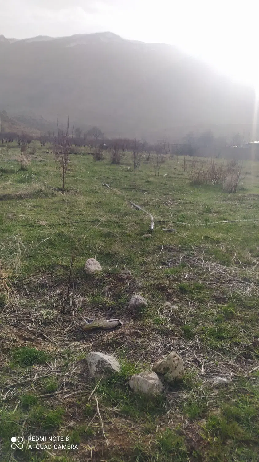 باغ سند دار طرح هادی
