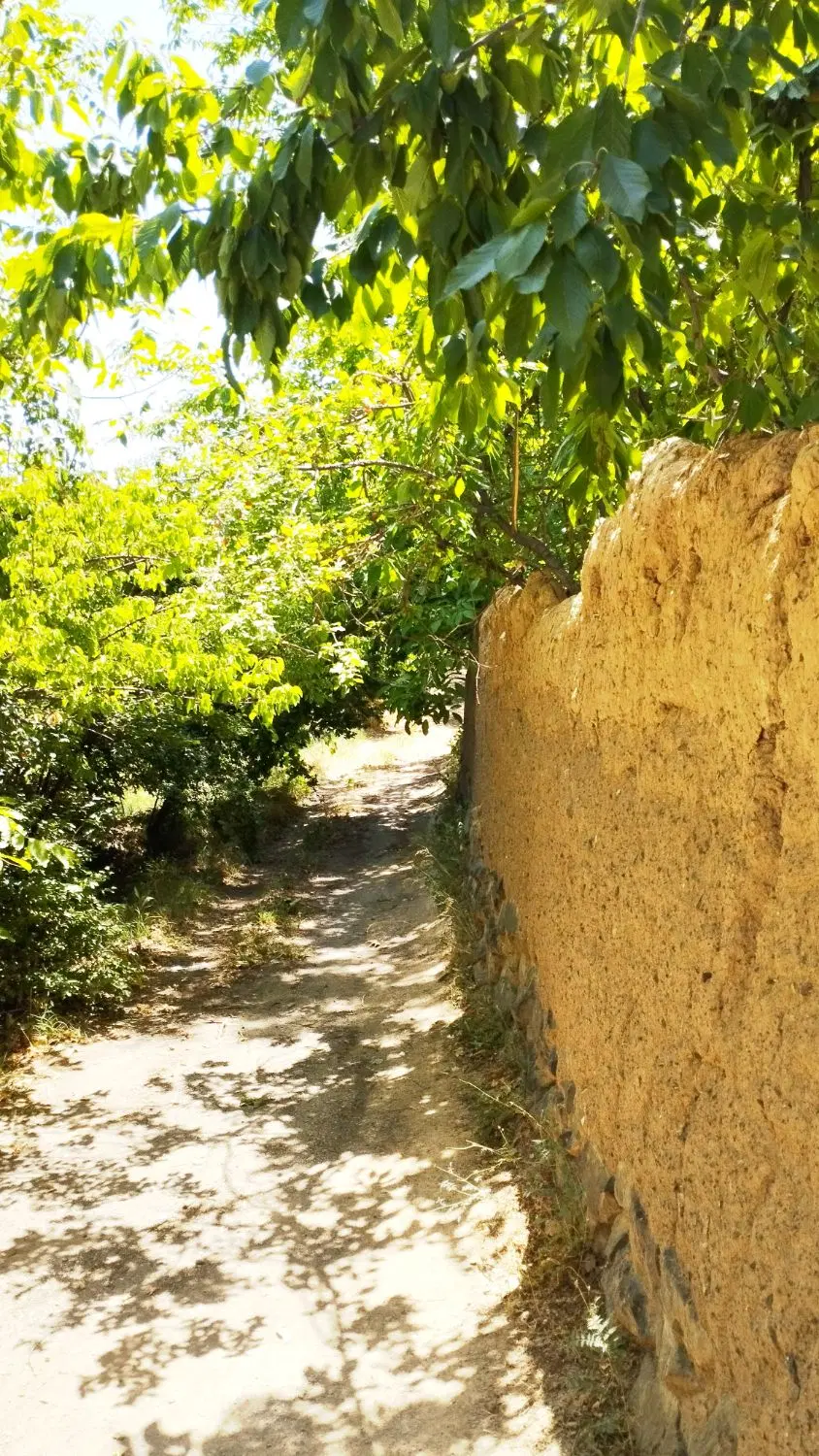 رهن و اجاره آپارتمان 55متری مختاری
