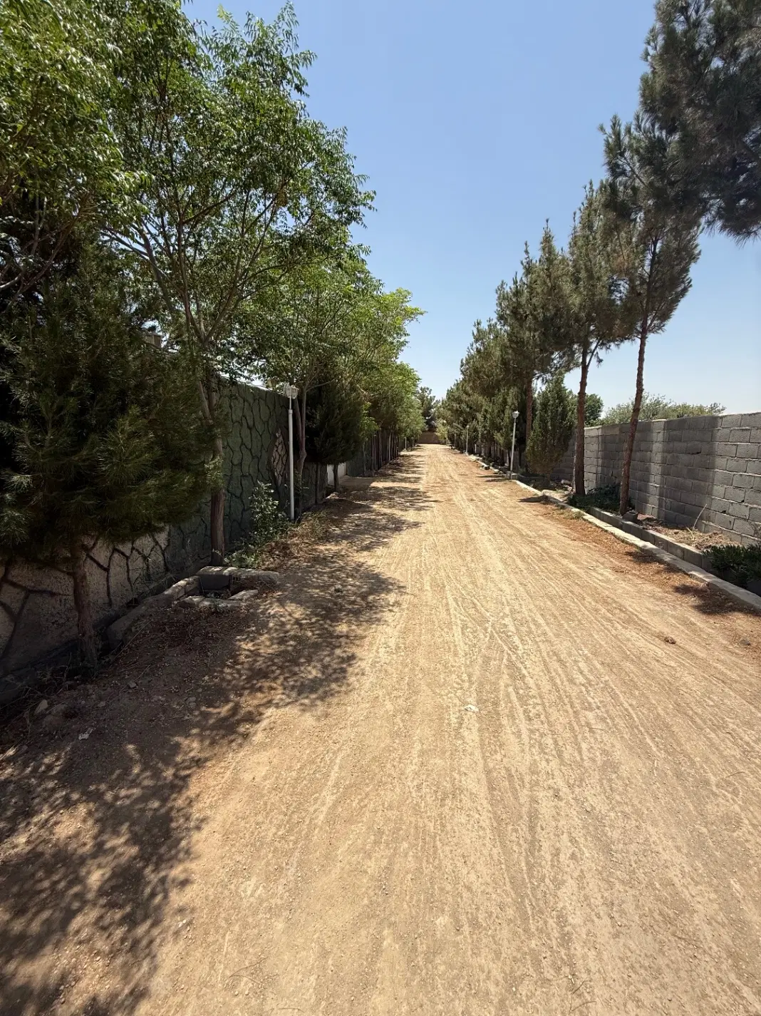 باغ ویلا