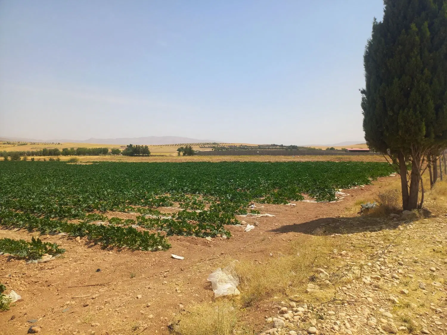 فروش زمین