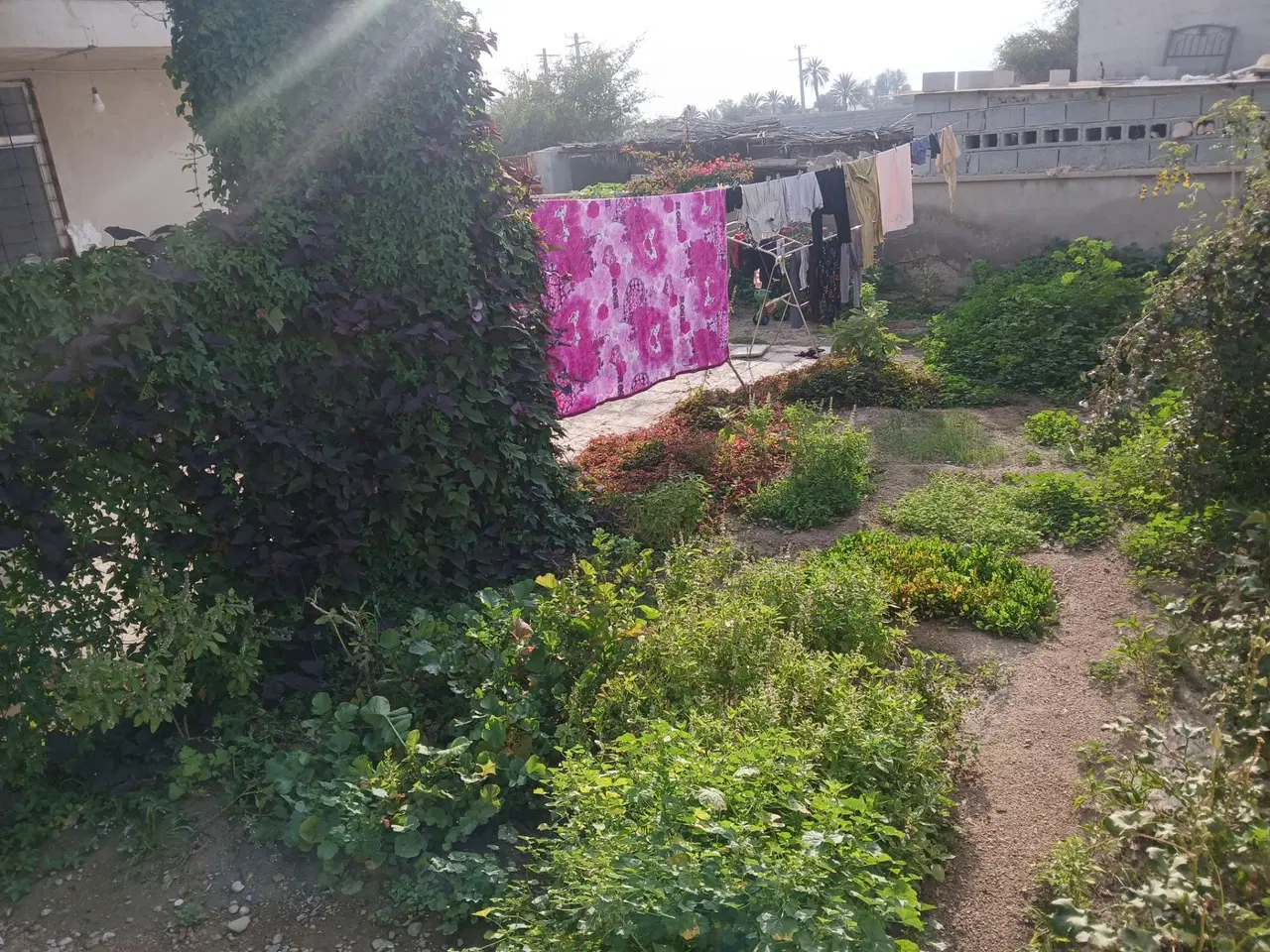 منزل ویلای تازیان بالا