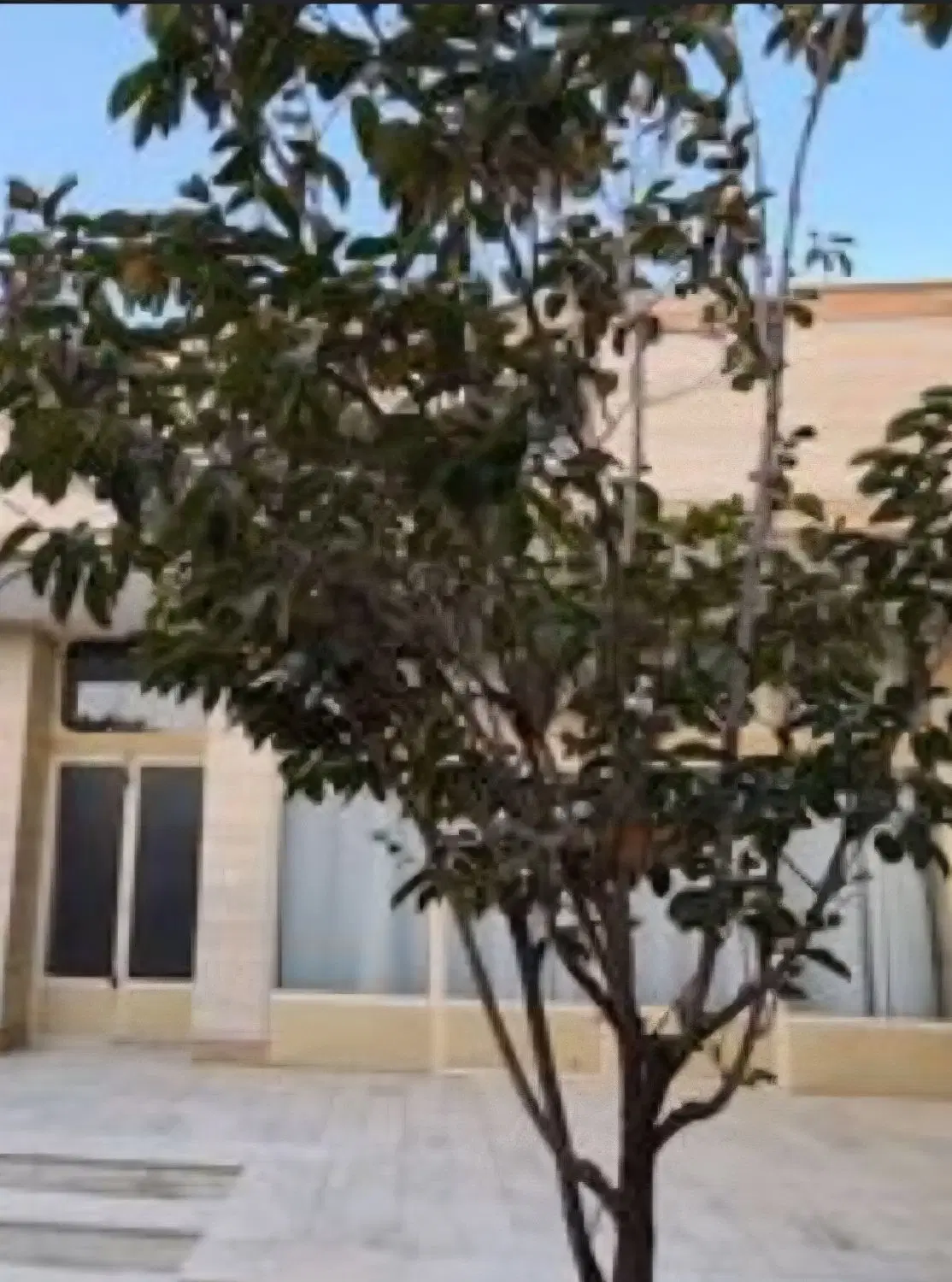 فروش منزل بازمین 293 متری بعد بیمارستان سیدالشهدا