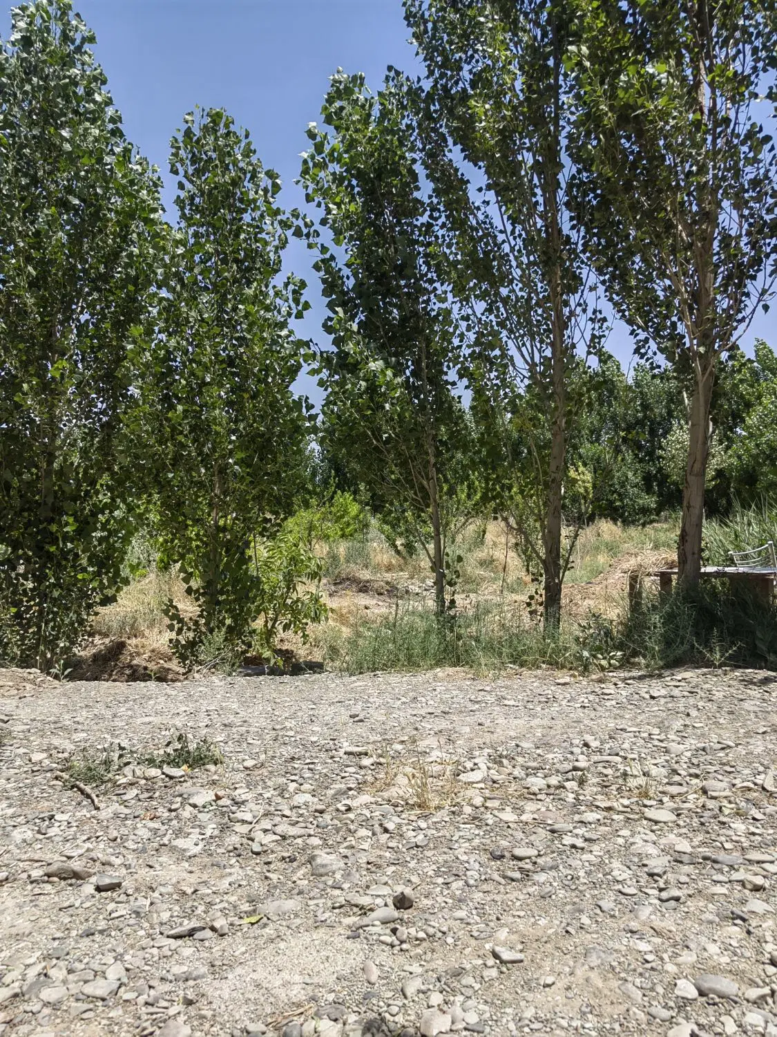 معاوضه ویلا با مسکونی و بالعکس