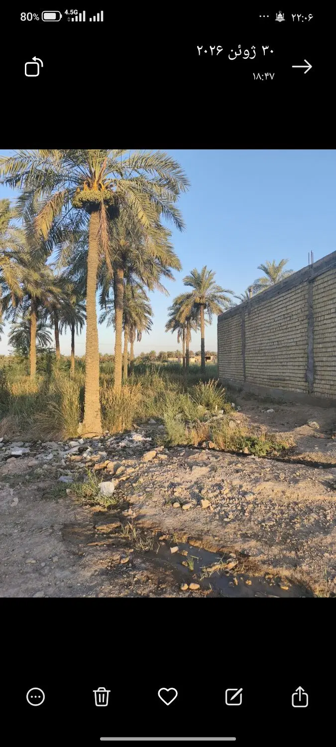 زمین 120متر ذوالفقار84