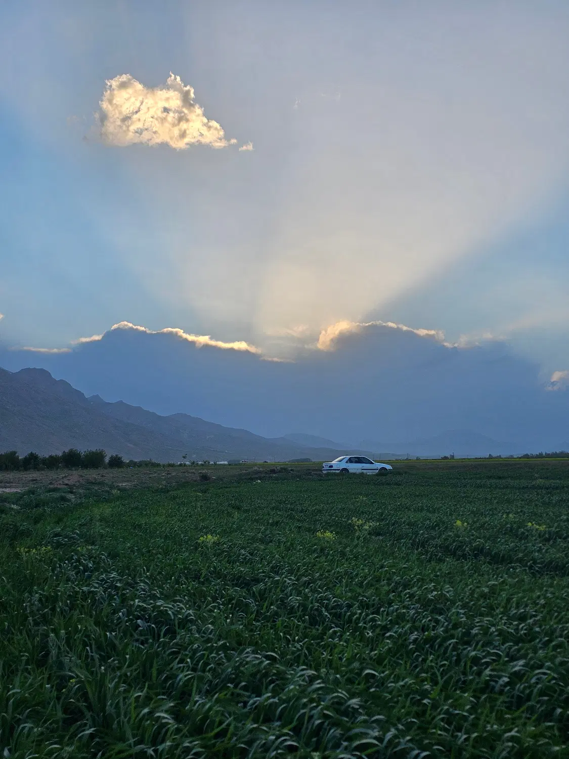 منظریه فروش زمین مشاع ۴ و ۲