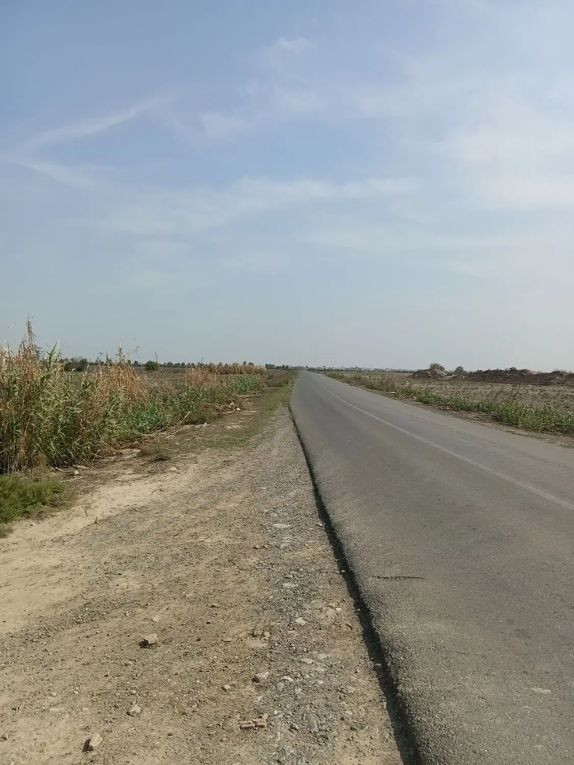 زمین کشاورزی  16 هکتار و نیم
