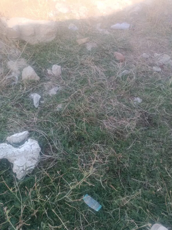 زمین داخل محدوده
