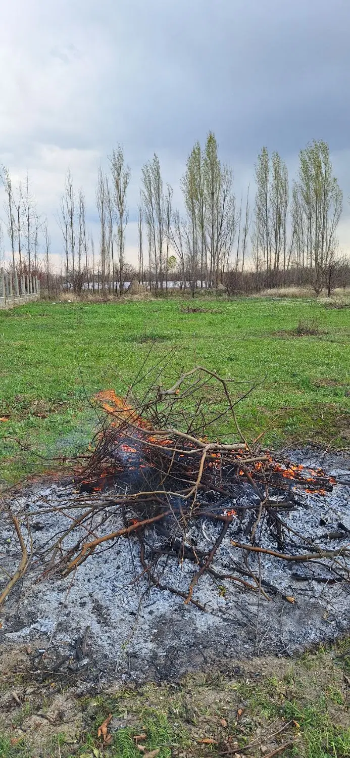 فروش باغ ۱۳۰۰ متری روستای الیاس آباد