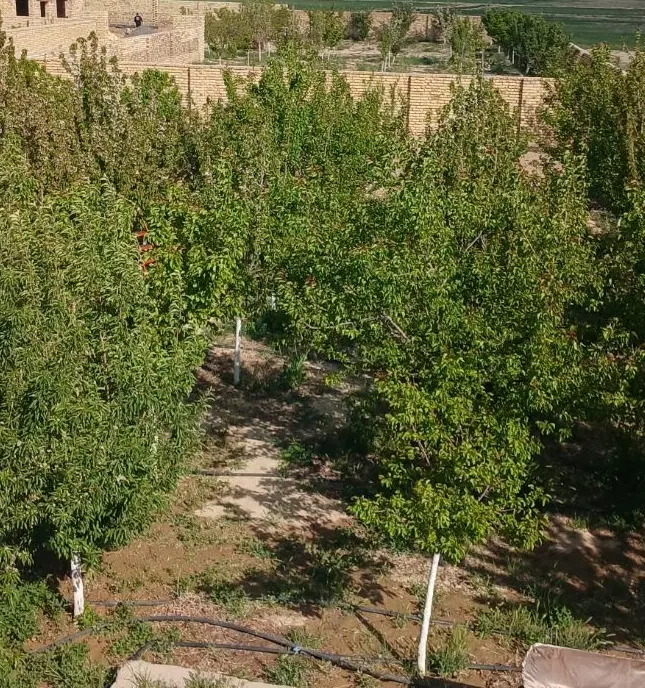 باغ چهاردیواری آزادمرزآباد