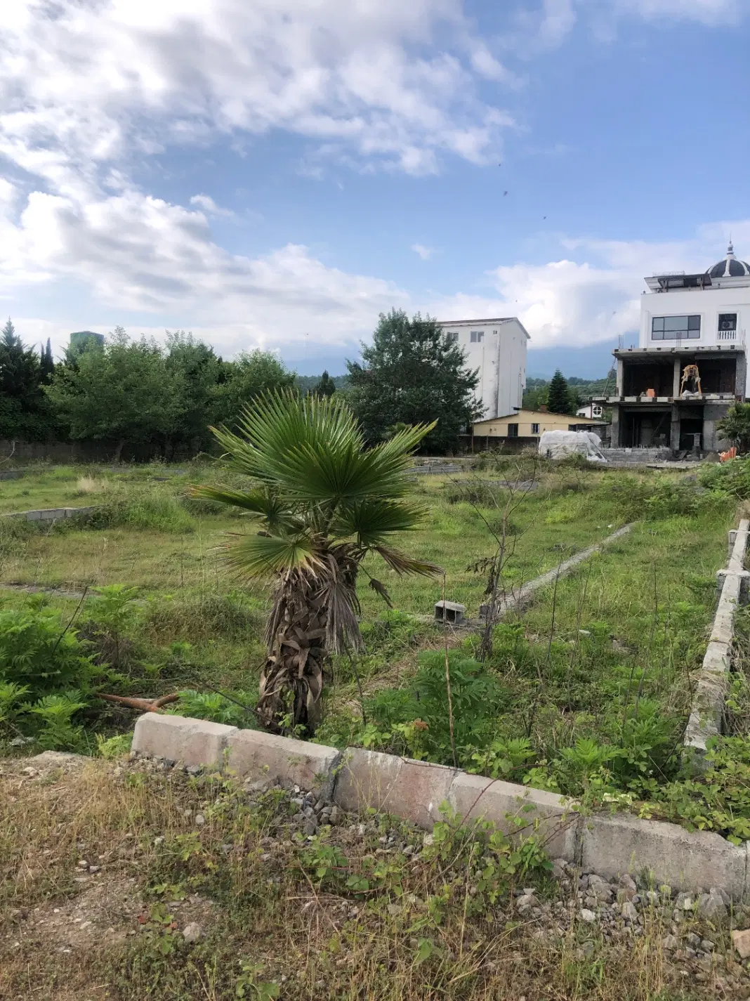 زمین مسکونی شهرکی در ونوش