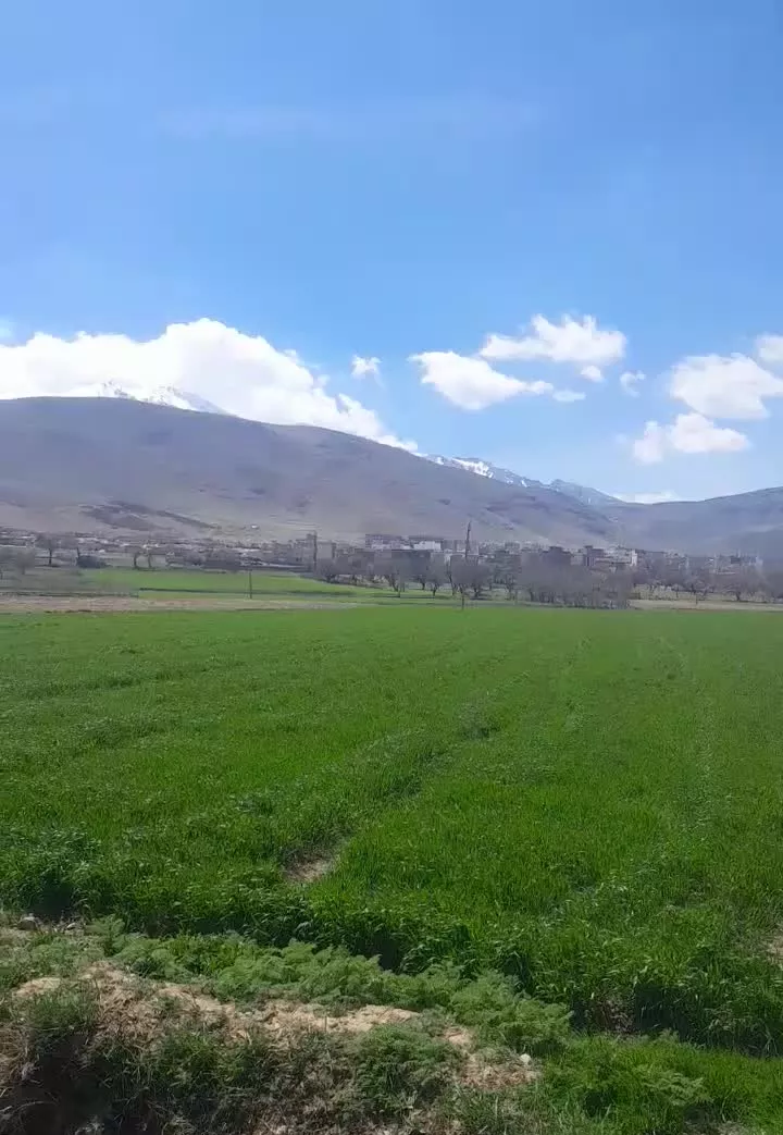 یک قطعه زمین به متراژ ۲۱۰۰ متر سنقر شهرک شهرداری