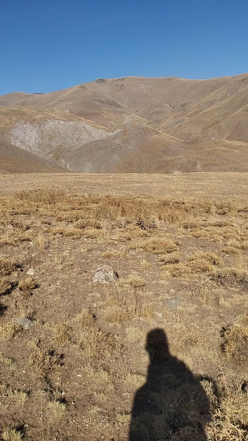 زمین