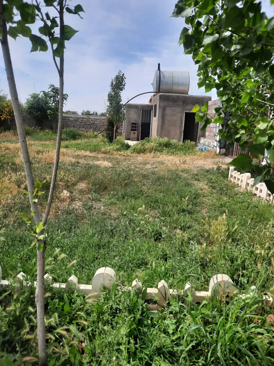 باغ فروشی .روستای محیط آباد میلان ایثار
