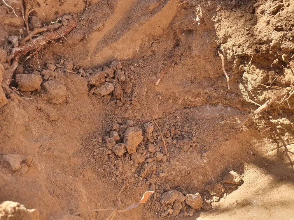 زمین سلیمان اباد شهرک