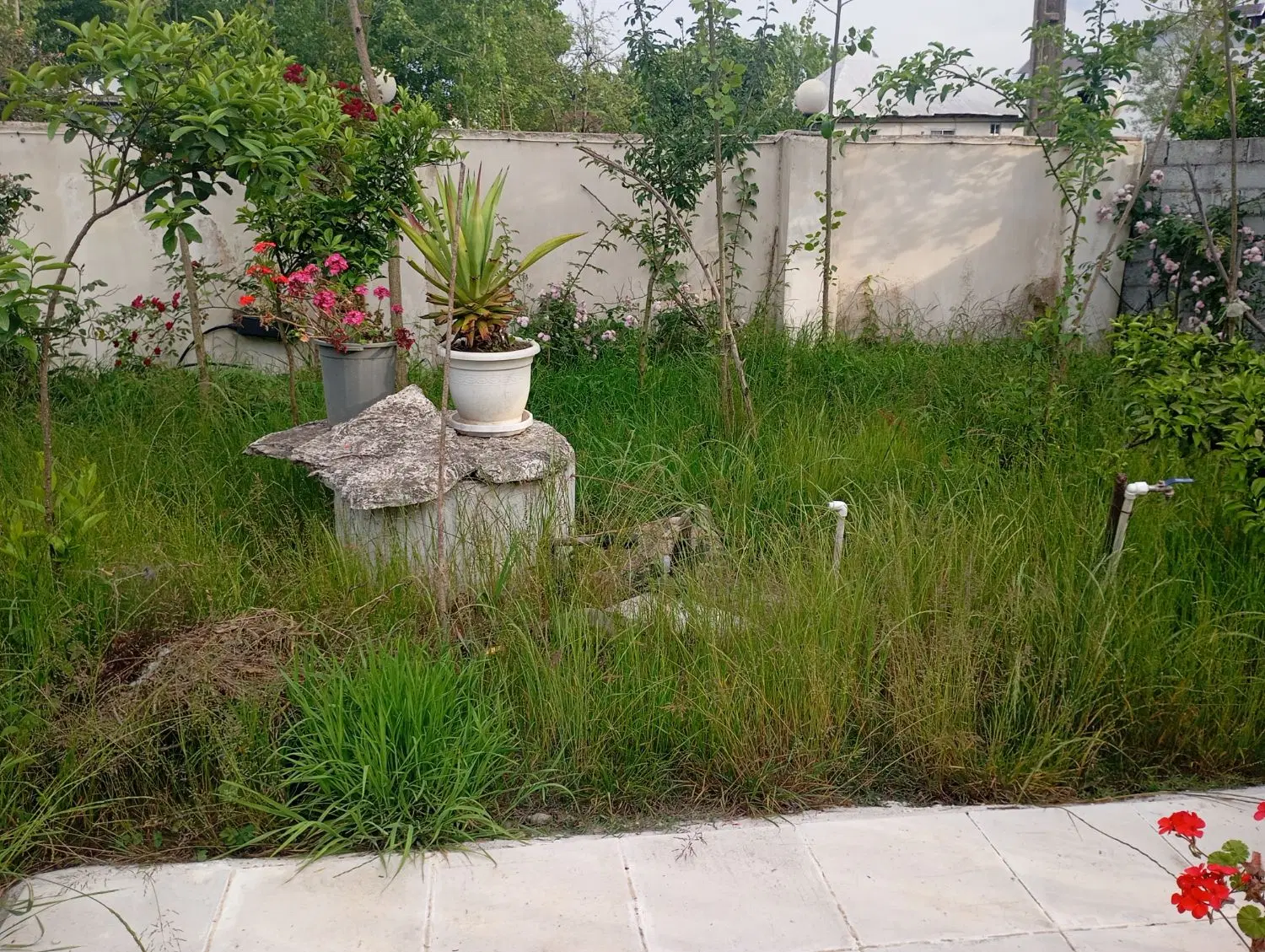 فروش  زمین سند دار شهر و روستا