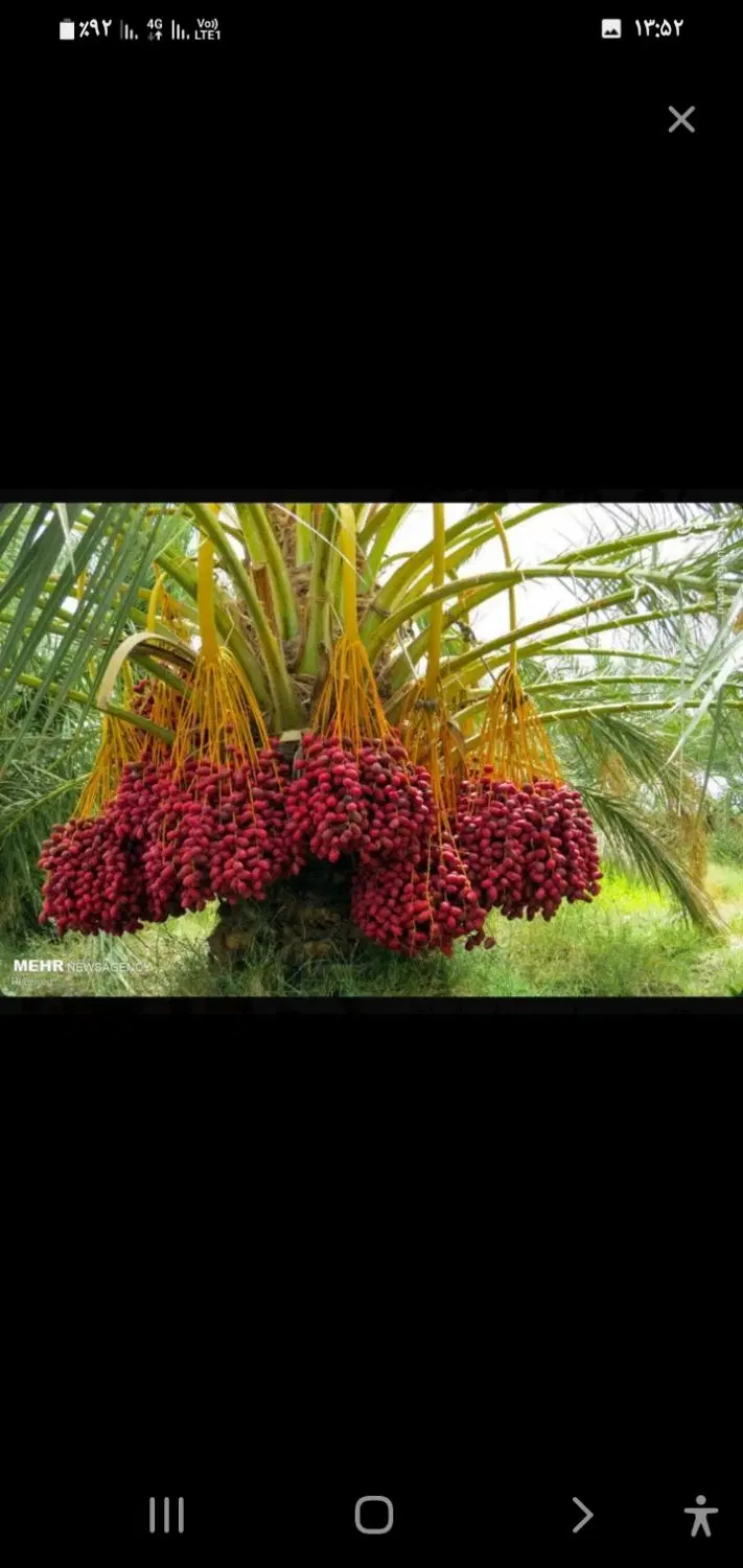 زمین۴۲۰ متری