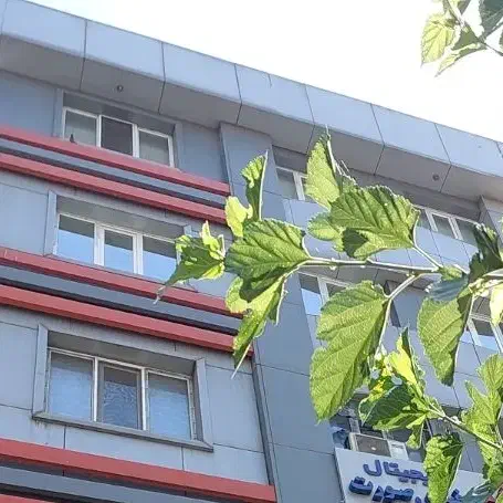 90 متر بر خیابان آزادی بی نظیر