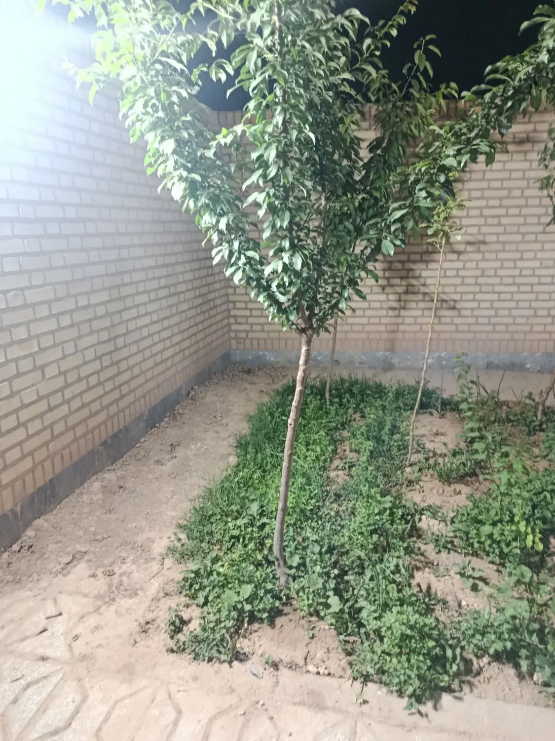 زمین مسکن ملی گرمه