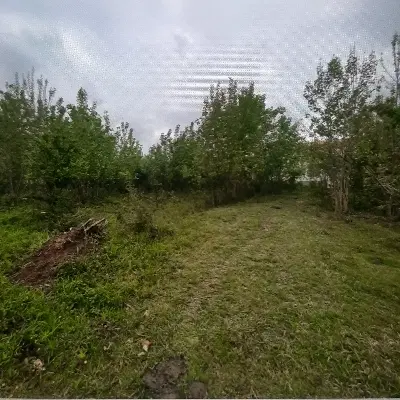 زمین مسکونی سیاهکل