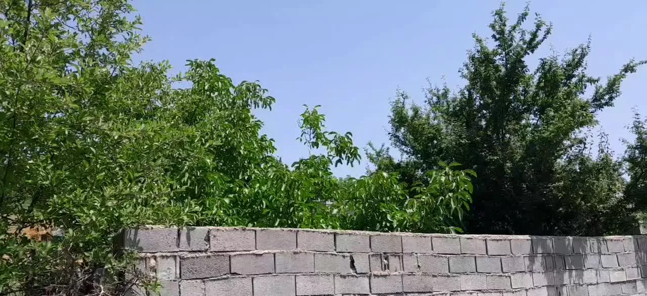 ملک ییلاقی