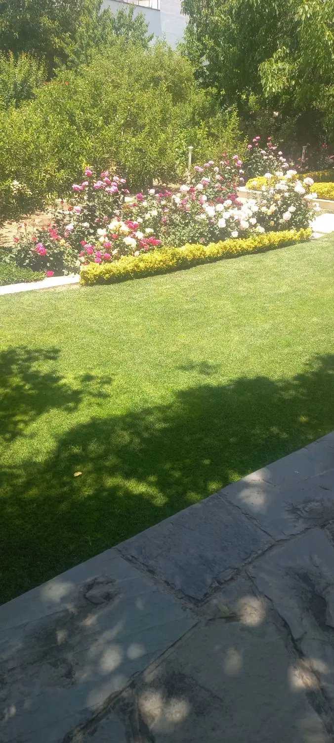 هزار صد متر باغچه همندوادان