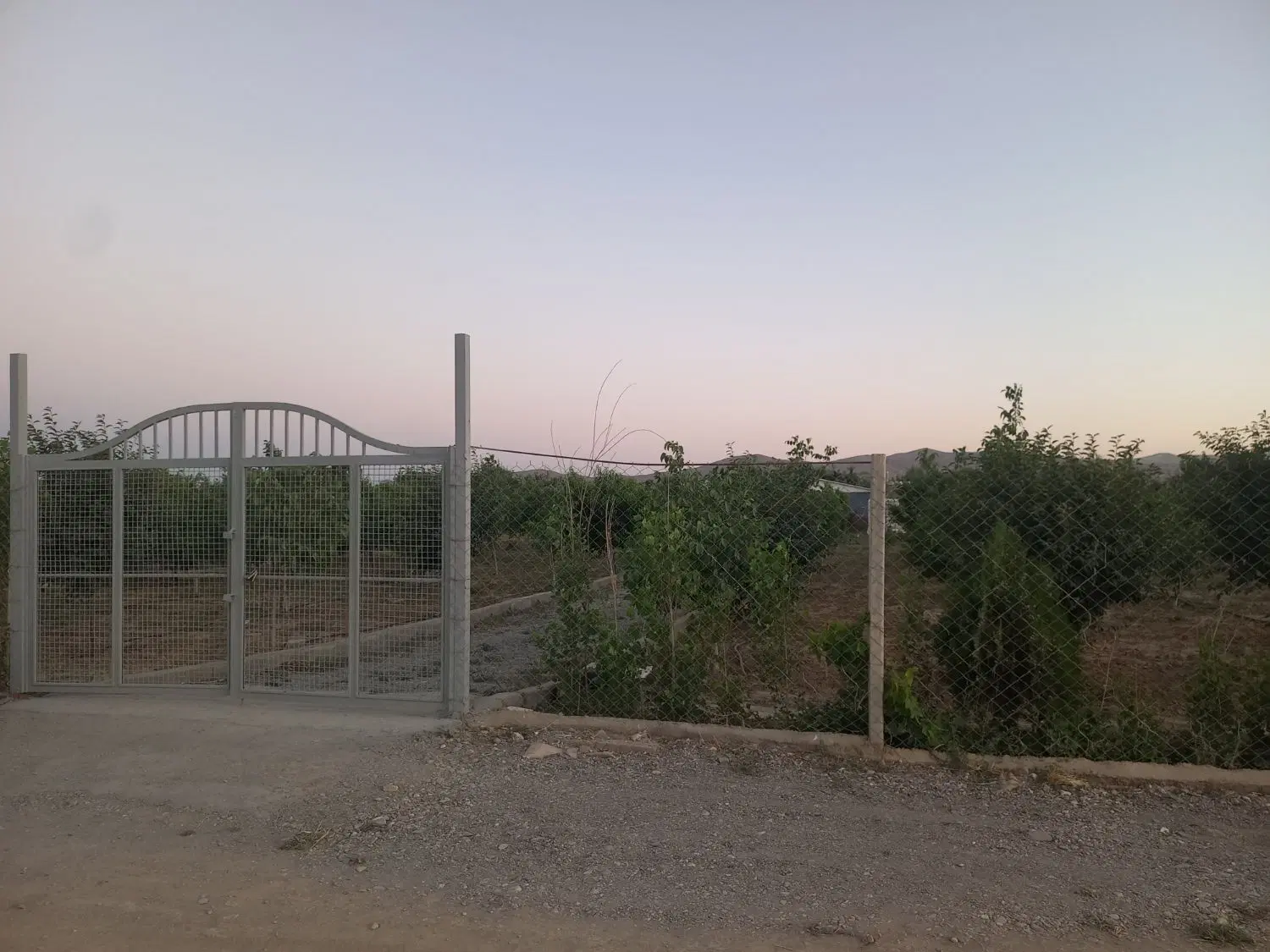 فروش باغ