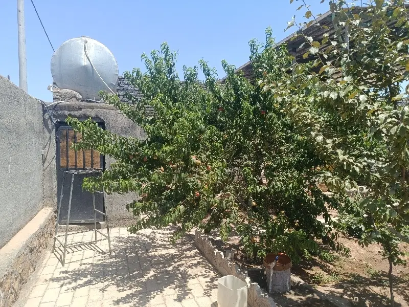 فروش باغ