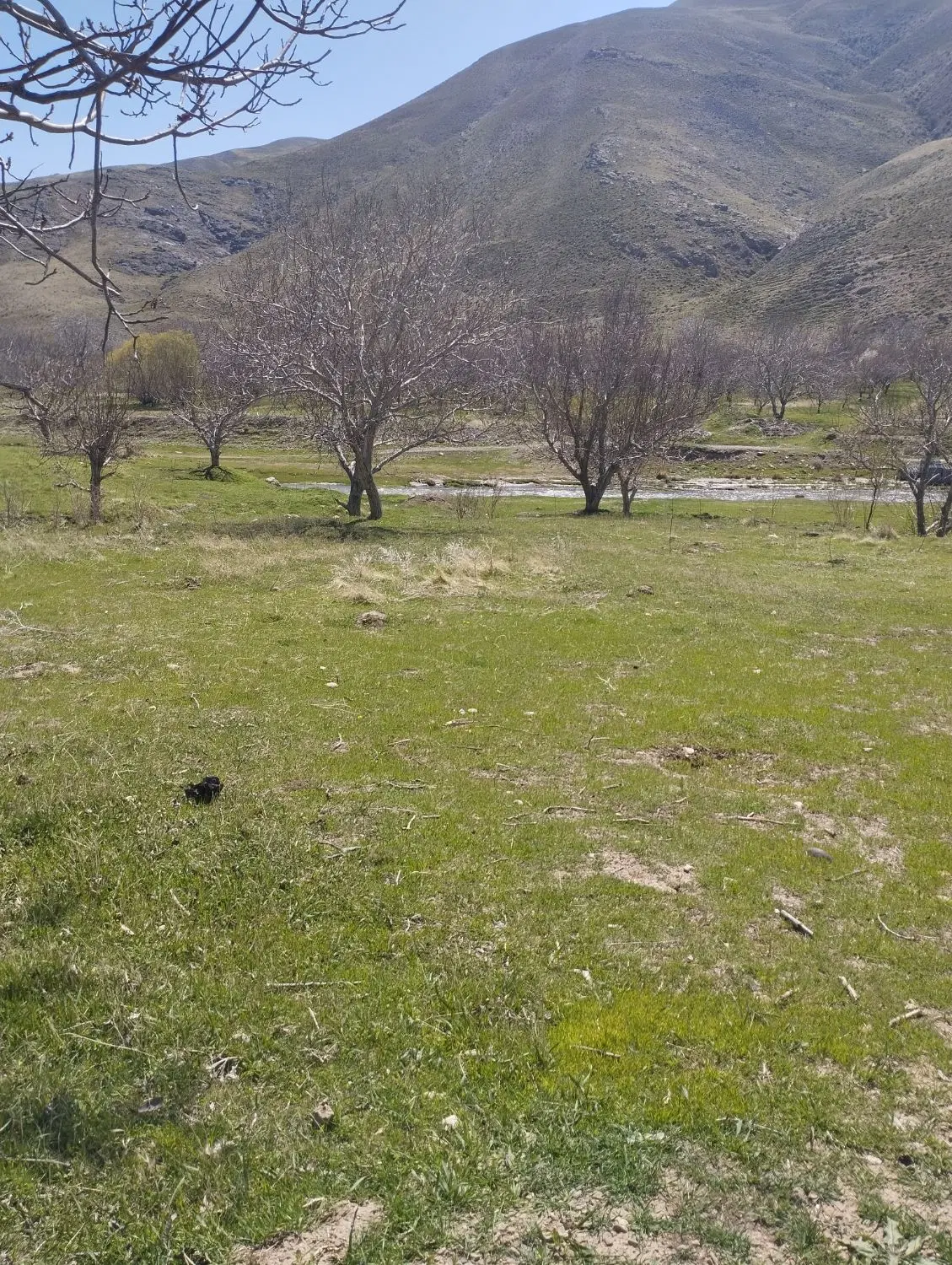 زمین خالی وگردو کنار رودخانه