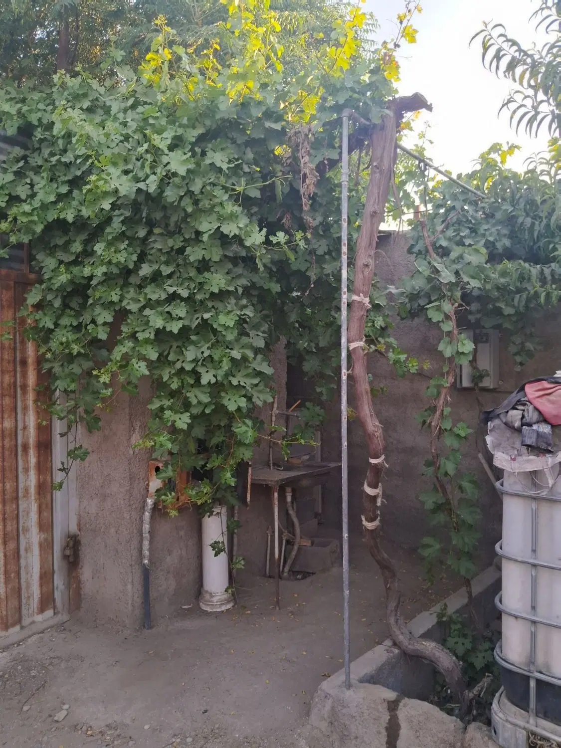 ۳۰۰ متر