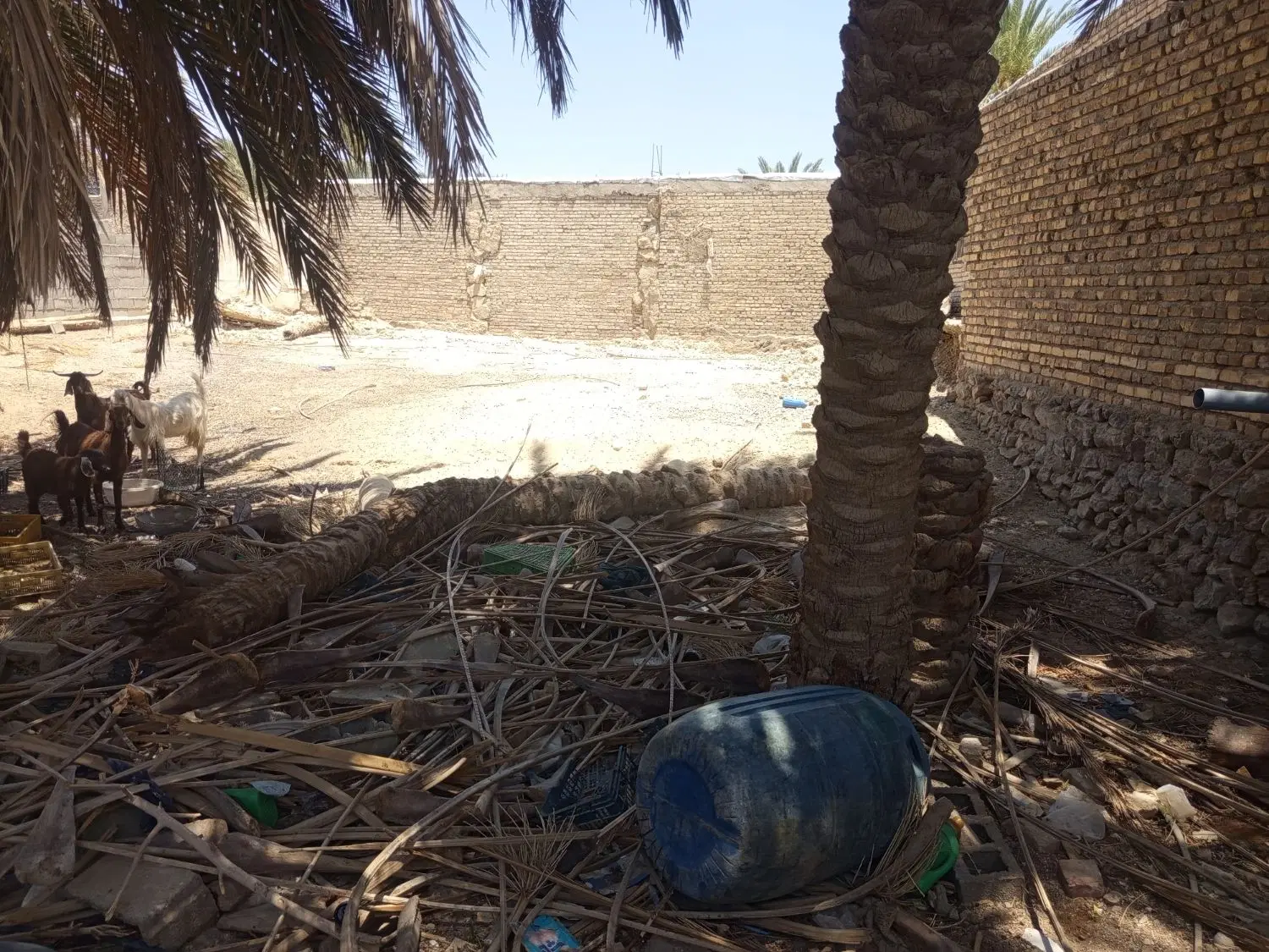 زمین فروشی سند تک برگ