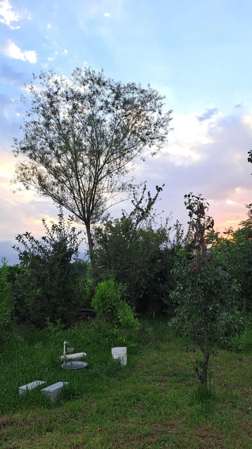 زمین مسکونی