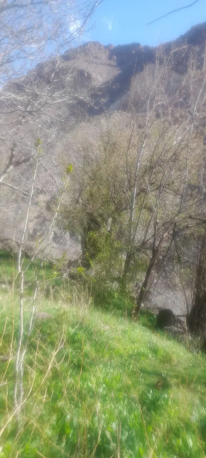 زمین ۳۶۰ متری گزانه(لاریجان)