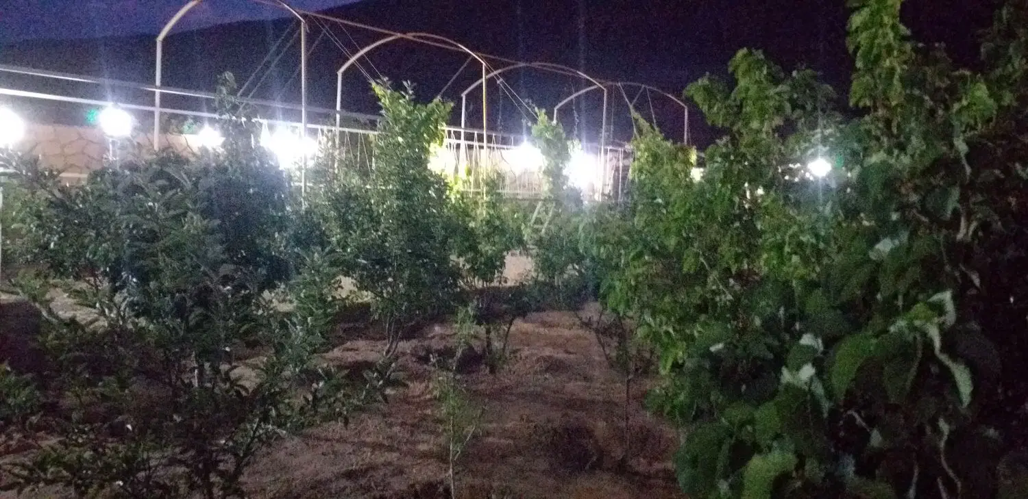 باغ در روستای اسکندر