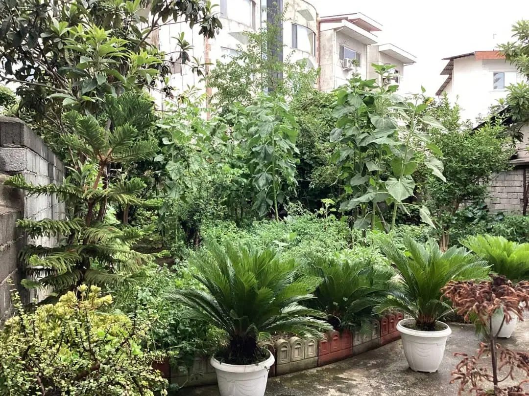 فروش زمین