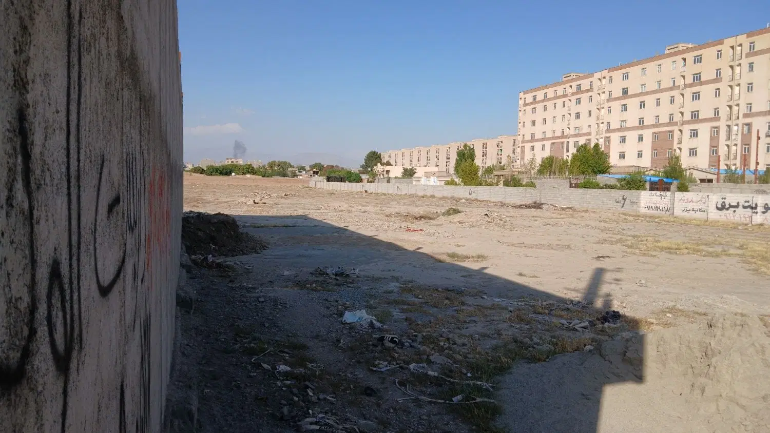 زمین سنددار (تک برگ مشی)