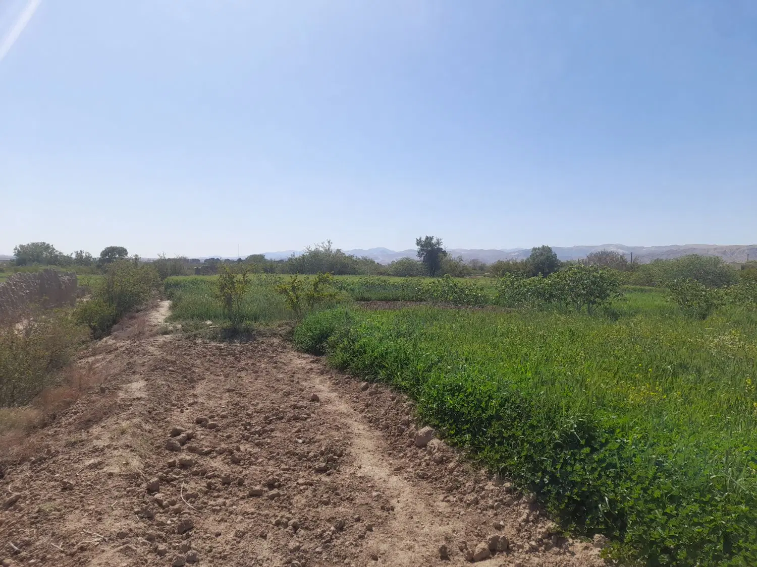 فروش زمین‌کشاورزی و باغ