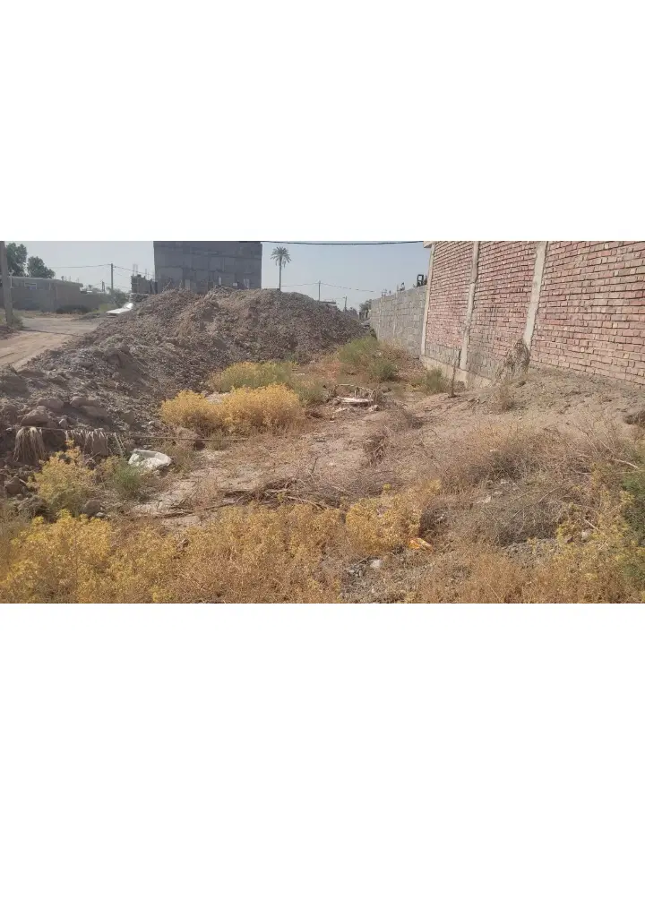 زمین در شهر