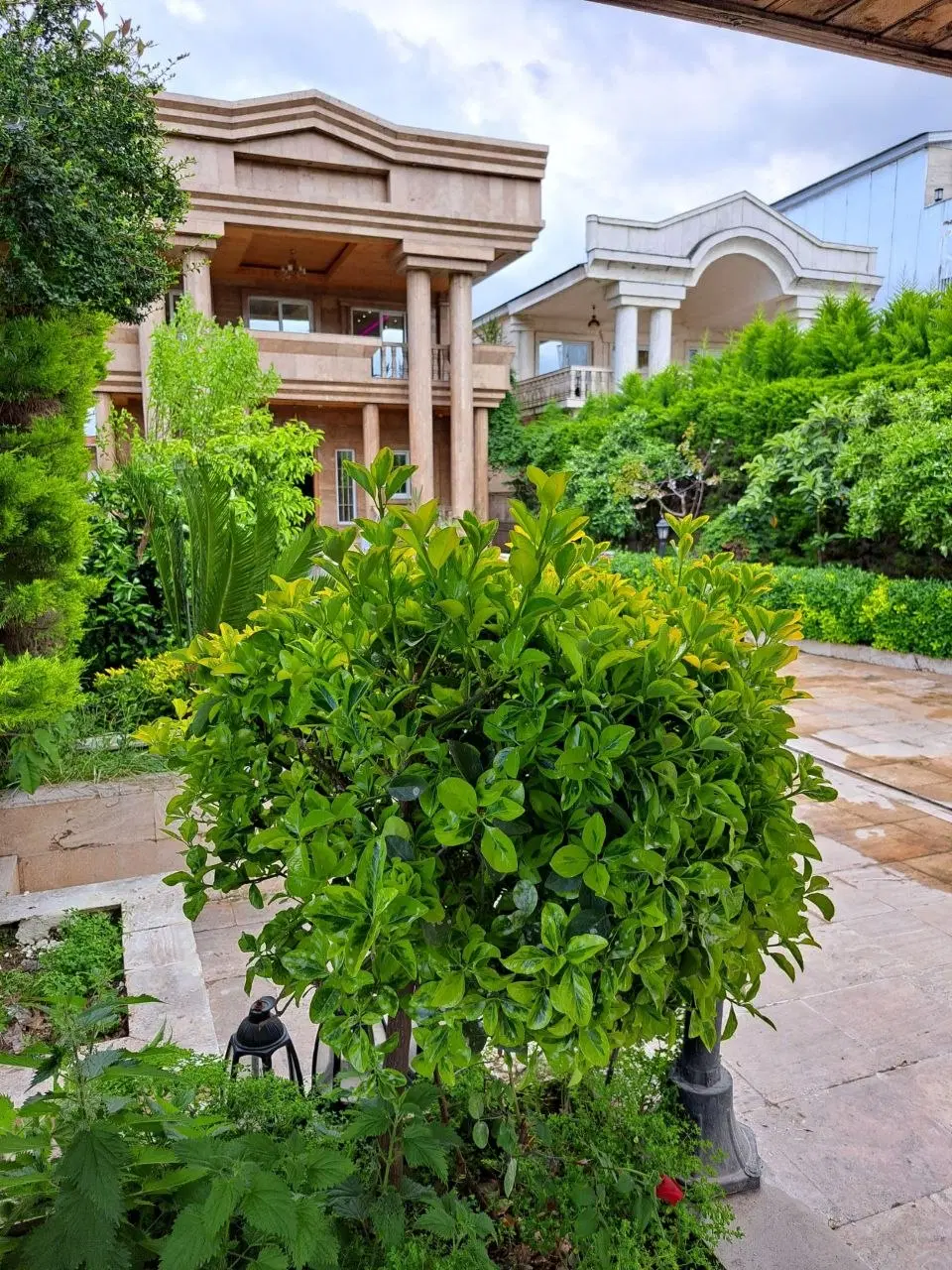 کاخ ویلای ۷۰۰ متری استخردار