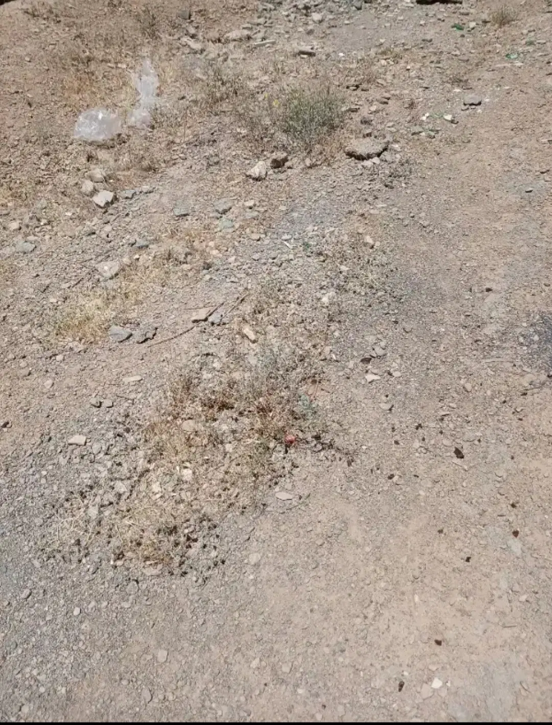 فروش زمین مسکونی کوی مهرگان