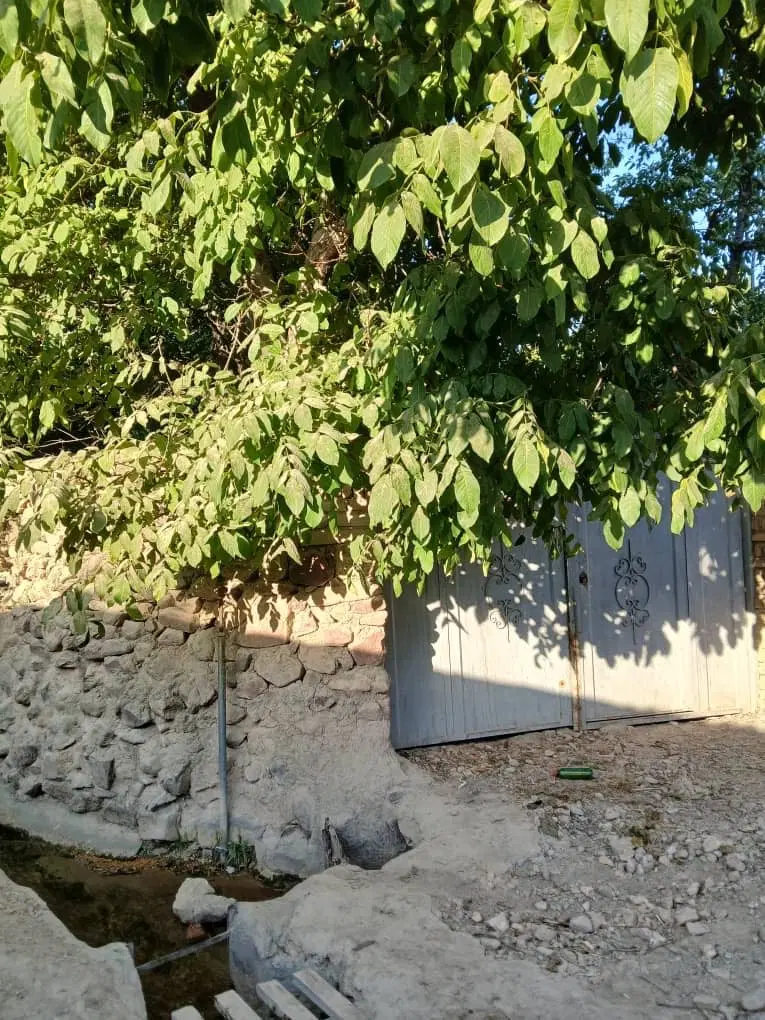 زمین ویلایی فشند