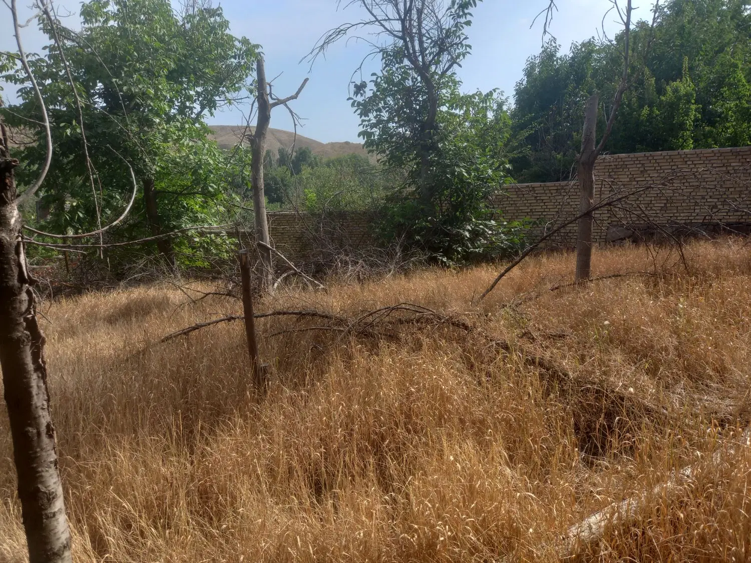 زمین فروشی