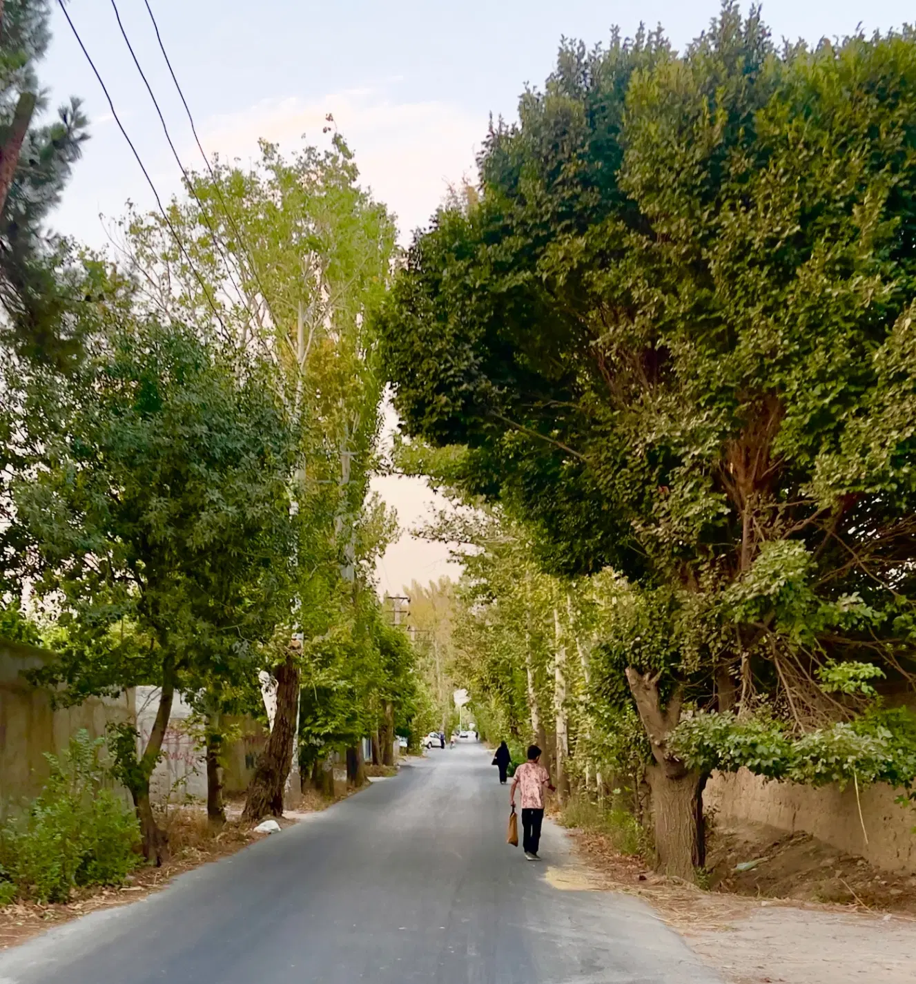 زمین ۱۶ هکتار با مجوز مسکونی ۲۰۰۰ هزار دستگاه